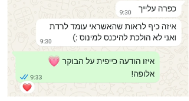 המלצה מלקוחה בוואטסאפ